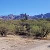 Looking east at the Catalina Mountains with the trail curving to the right; the entire trail is clear and wide.