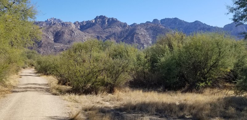 Additional view of the trail and looking east at the Catalina Mountains.