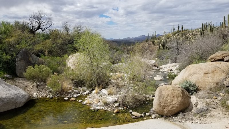 The pools are worth the hike there. Looking west with Oro Valley and the Tortolita mountains in the far distance