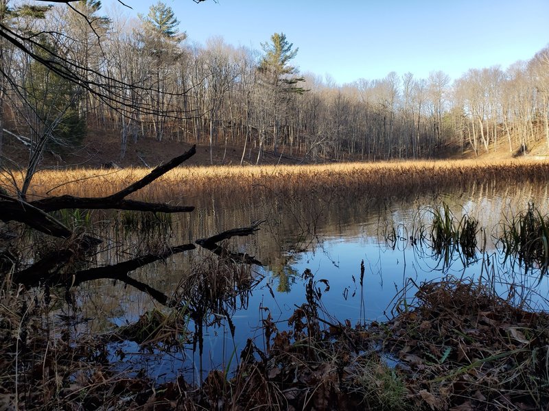 Water body along the Famous Trail