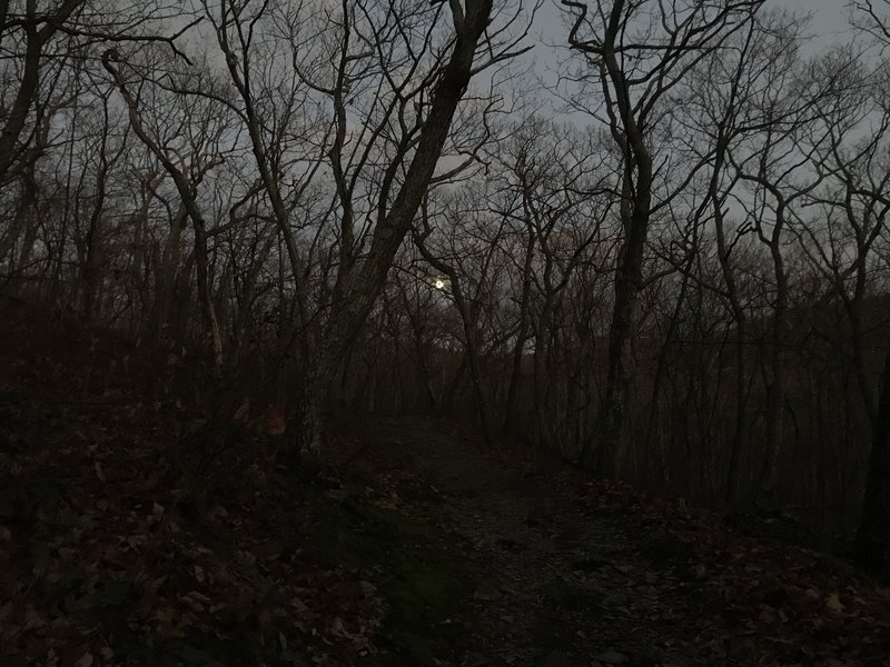 Moonlit path as we descend from Sunset Rock.