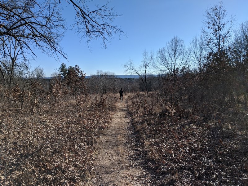 Descending from the bluff