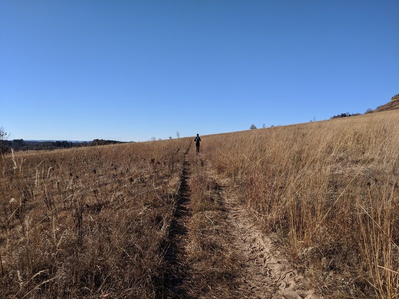 Sandy trail