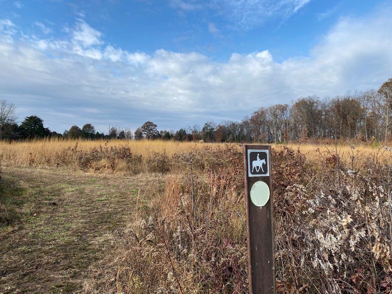 Bridle Trail Marker