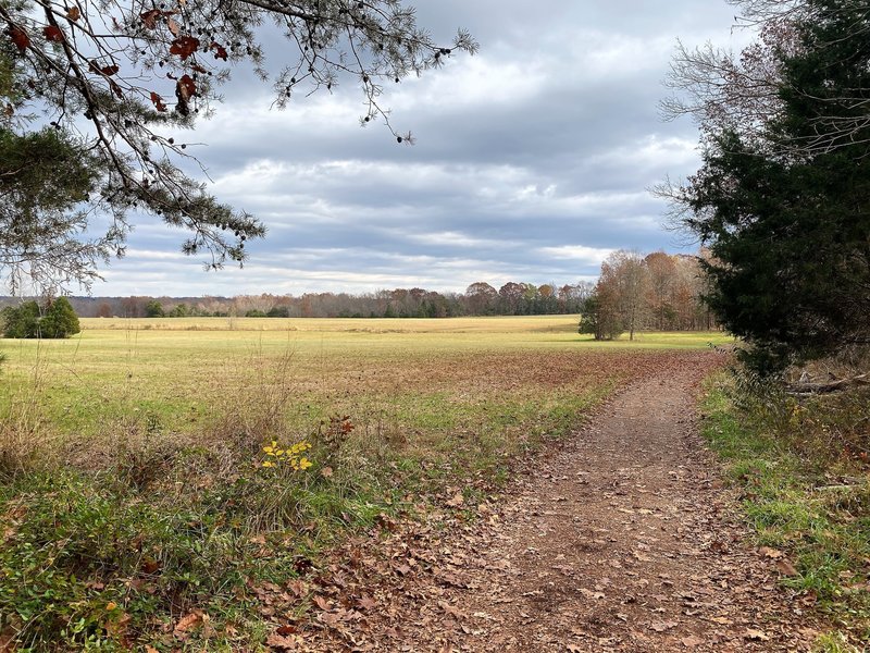 Manassas Battlefield - Remote Field