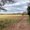 Manassas Battlefield - Remote Field