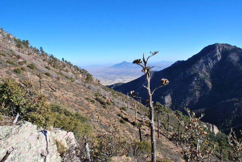 View back east before jaunt up to peak.