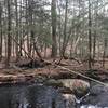 Creek Crossing with a rope