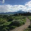 View of the Bridger Mountains from Peet's Hill.