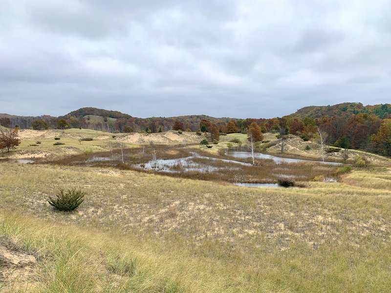 Between the dunes