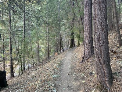 North side of trail loop