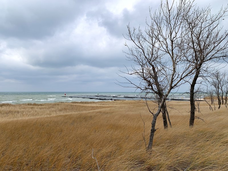 Looking towards the pier