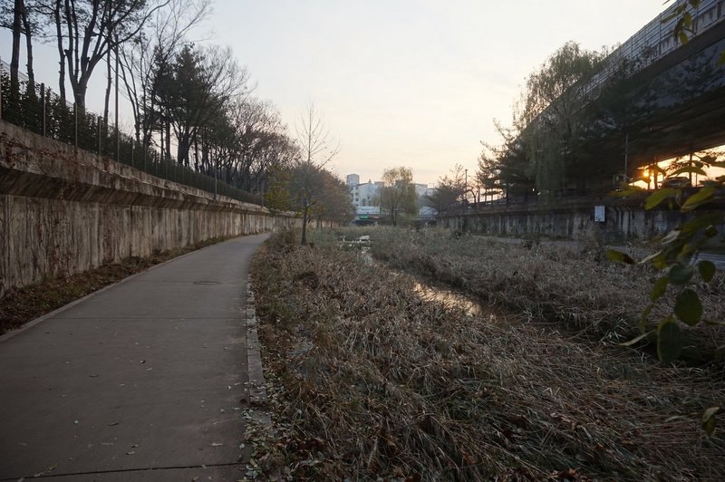 Seoul Trail at Mukdongcheon Stream