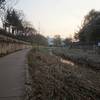 Seoul Trail at Mukdongcheon Stream