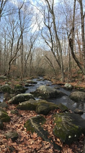 Cascades of Iron Stream