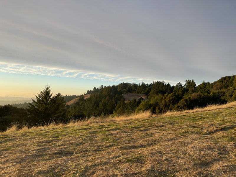 A view looking out over Long Ridge Open Space Preserve.  You can see the trail in the distance.