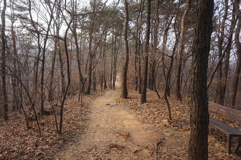 Seoul Trail at Dulle Forest