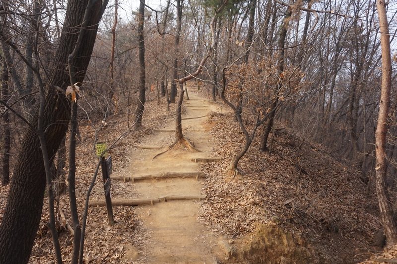 Seoul Trail at Dulle Forest