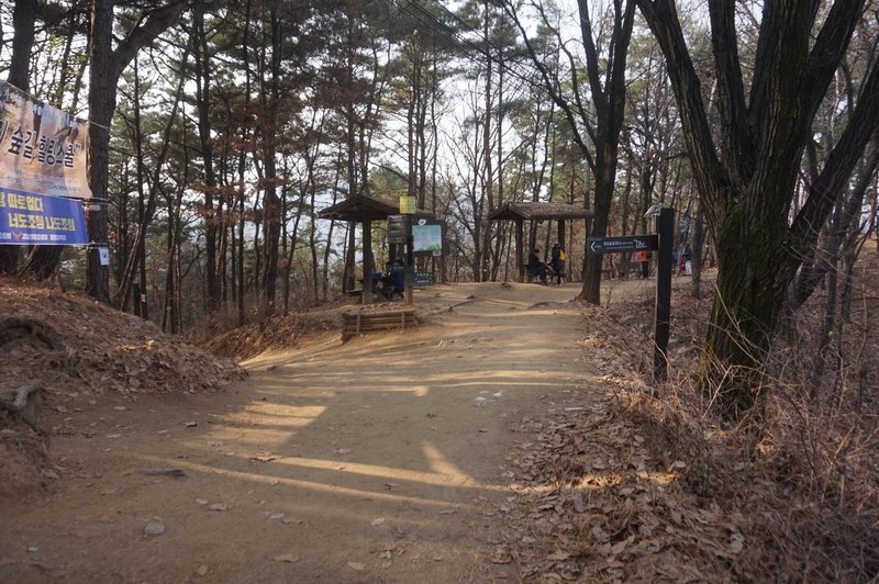 Seoul Trail on Daemosan Mountain