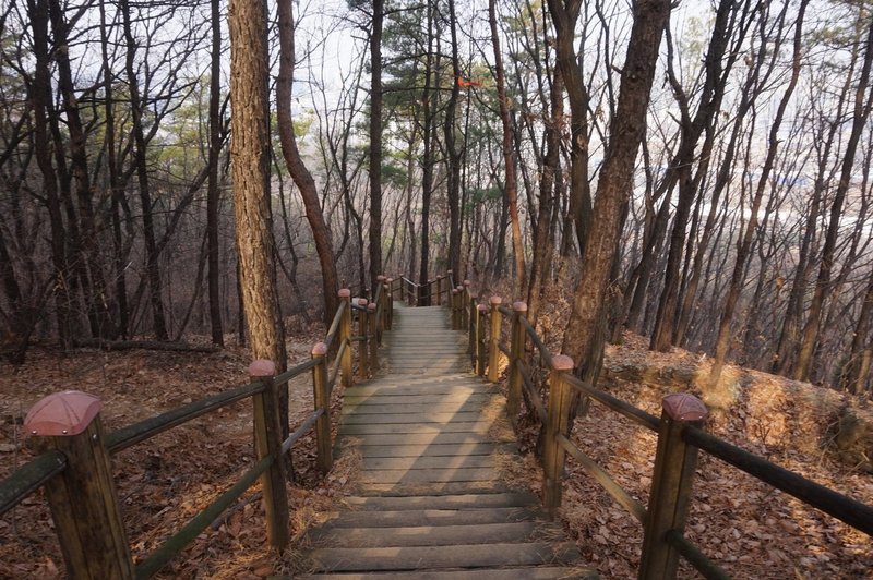 Seoul Trail on Daemosan Mountain