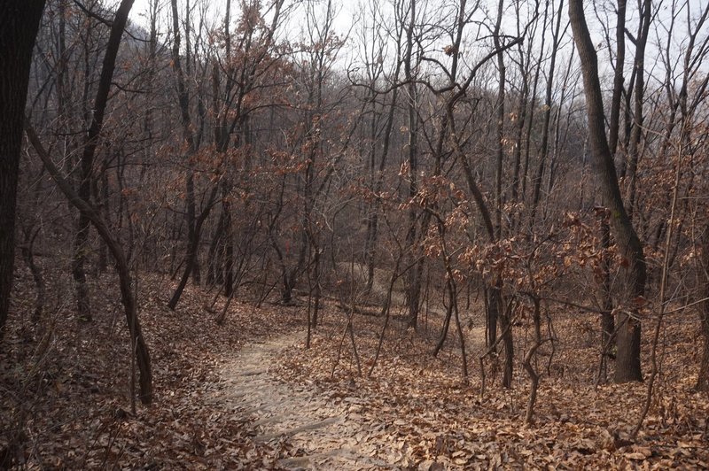 Seoul Trail on Guryongsan Mountain