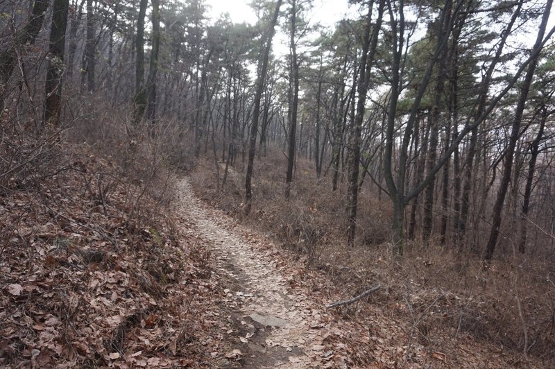 Seoul Trail on Guryongsan Mountain