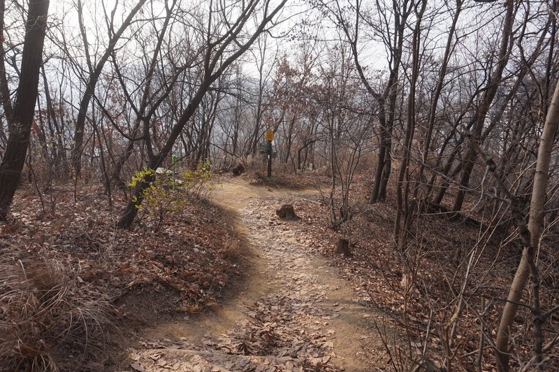 Seoul Trail towards Yemgok-Dong