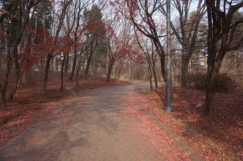 Seoul Trail at Yangjae Citizen's Forest