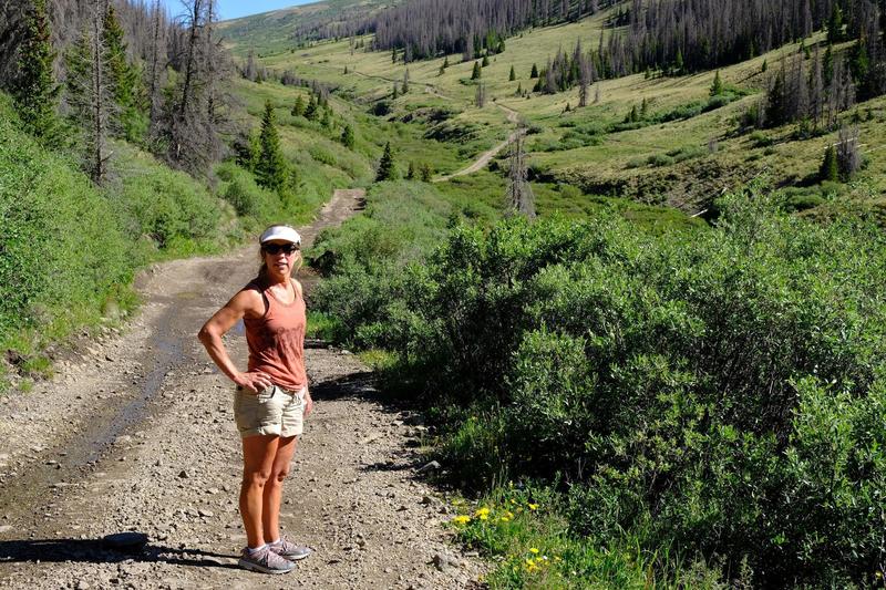 Lower section of trial (off Bachelor Loop Rd) is jeep road up to trailhead parking lot.