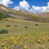 Saddle of San Luis pass