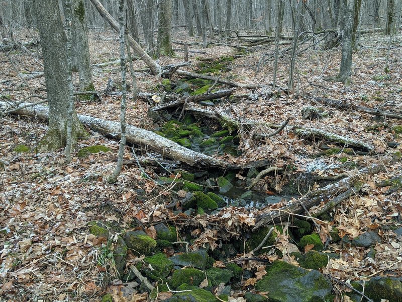 Lush streams are a common site even in December