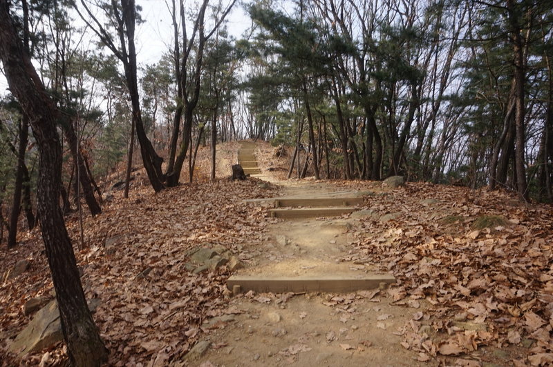 Seoul Trail section 4 in Umyeonsan Park, taken 7th Dec 2020