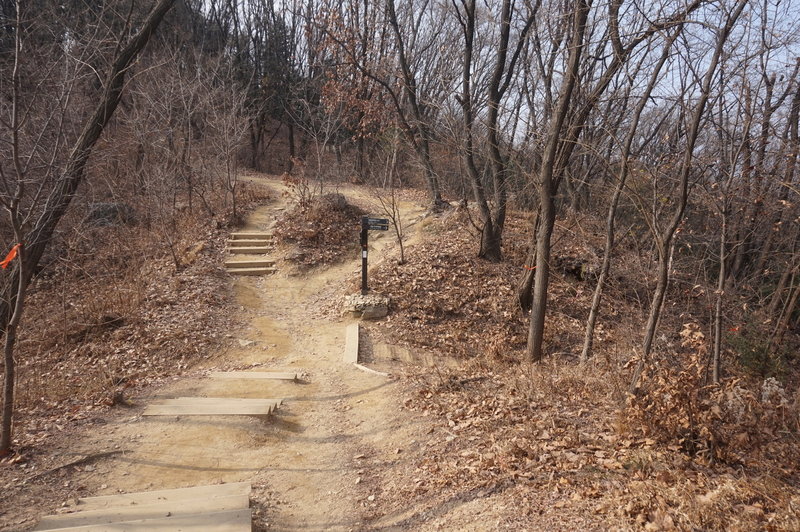 Seoul Trail section 4 in Umyeonsan Park, taken 7th Dec 2020