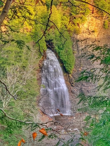 Rainbow Falls on Inman Glide Trail!