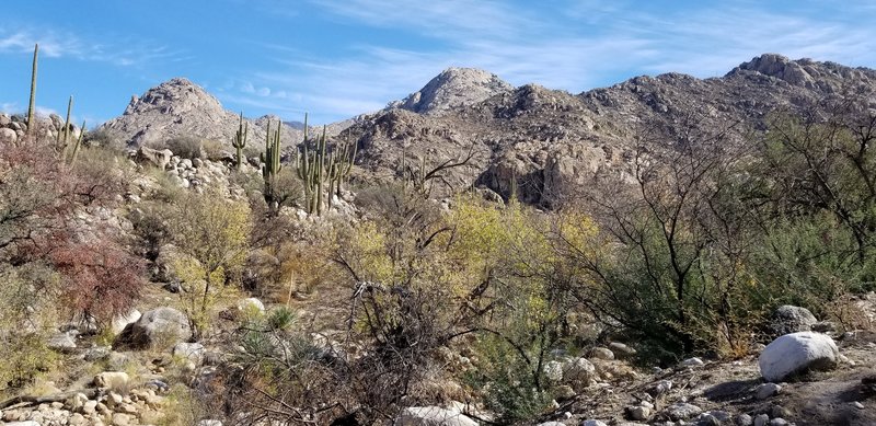 Some of the more scenic parts of the trail were barely touched by the Bighorn Fire.