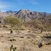 Looking east at the Catalina's on one of the many slightly sloping, wide parts of the trail.