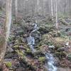 After rains the brook fords are a bit more challenging. They are also very pretty.