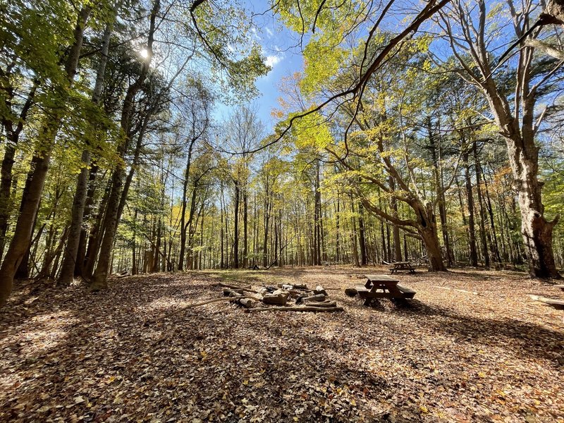 Kings Farm with the leaves changing in the fall.