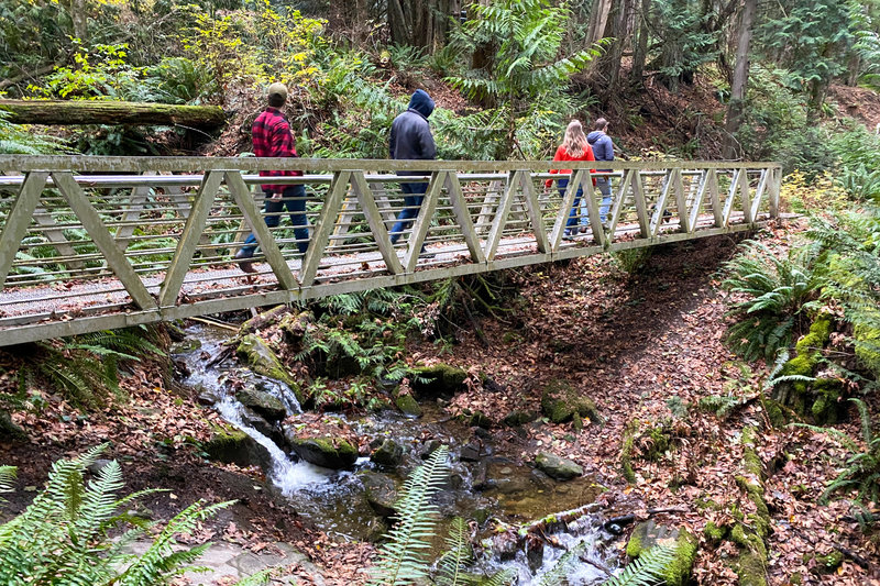 A long bridge spans a small waterfall near the start of the trail.