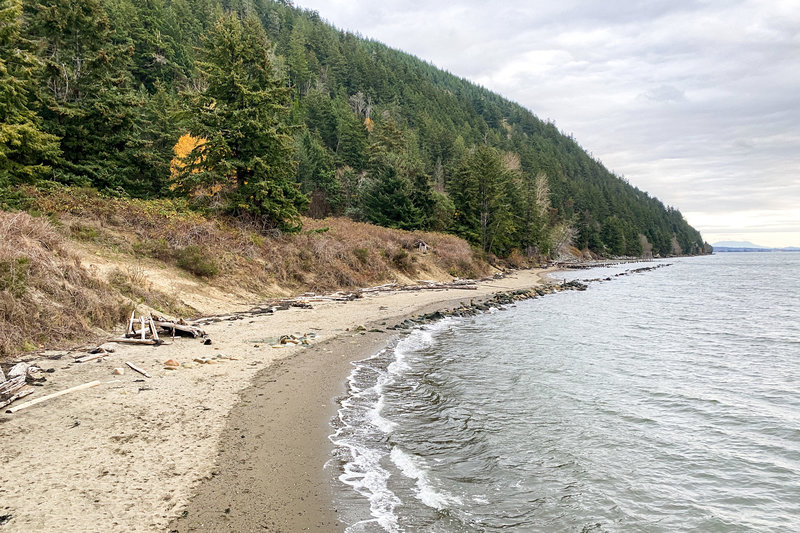 Clayton Beach provides a pleasant stretch of sand dotted with driftwood.