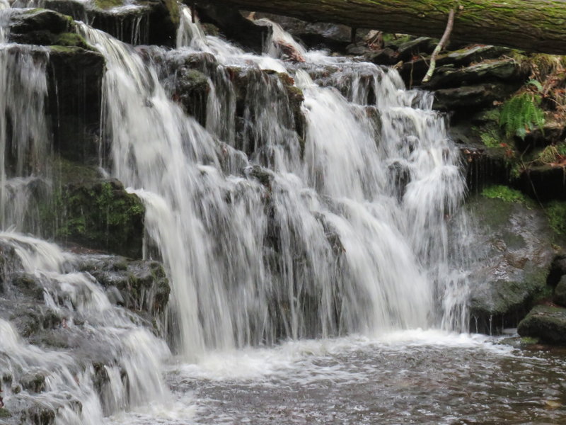 Unnamed falls on Day Pond Brook