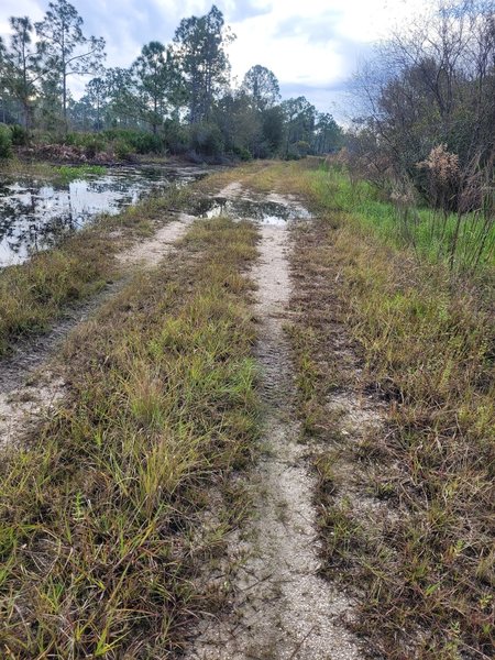 The service road is the only above-grade portion of the trail.