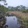 Flooded trail