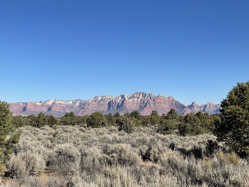 Views of Zion abound on the mesa.