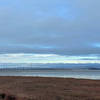 View of the Dumbarton Bridge from the South Observation Platform in Ravenswood Open Space Preserve.