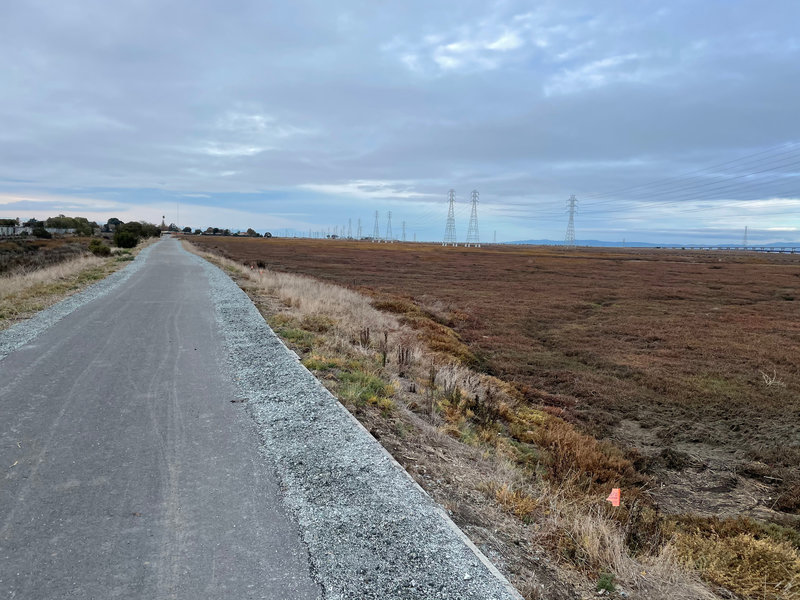 The Bay Area Trail is paved and passes through the Ravenswood Open Space Preserve and provides you the opportunity to observe various birds and other animals.