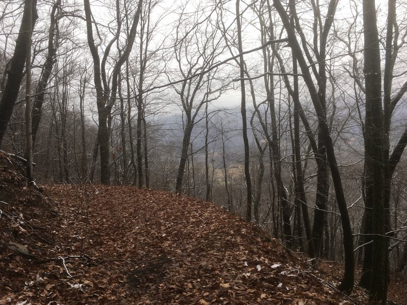 View down to valley from trail.