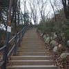 Section 8 of the Seoul Trail at Jangmi Park, taken on 10th of December 2020