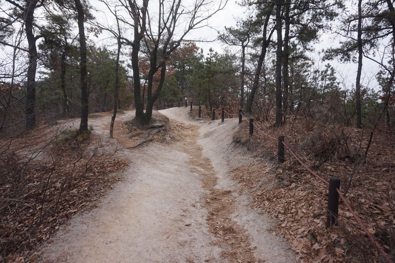 Section 8 of the Seoul Trail at Jangmi Park, taken on 10th of December 2020