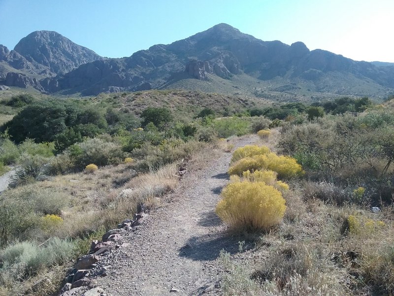 View of the canyon.